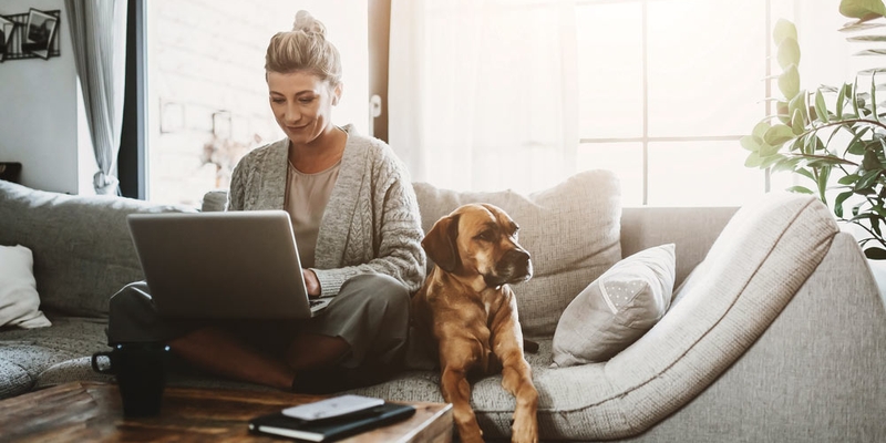 A woman uses her laptop on her couch next to her dog