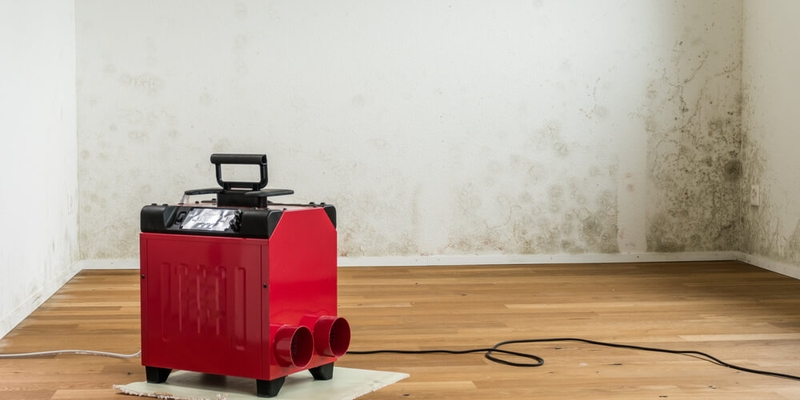 red dehumidifier in an empty apartment with a toxic mold and mildew problem